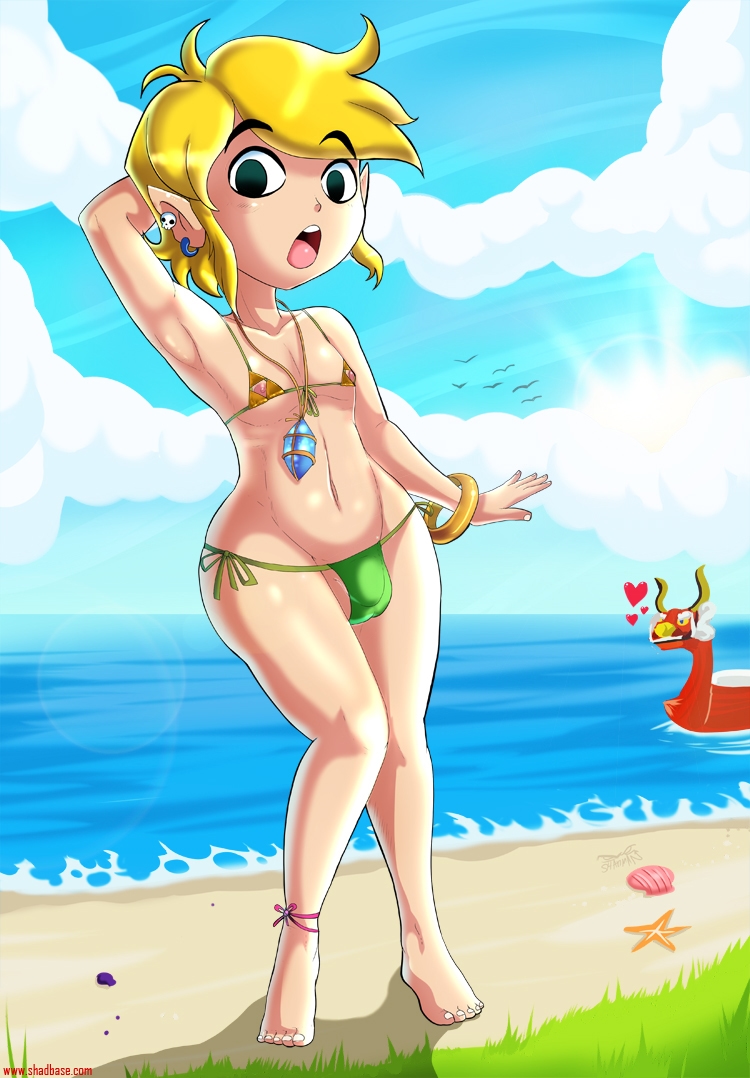 Wind Waker Hd Unlockable Outfit