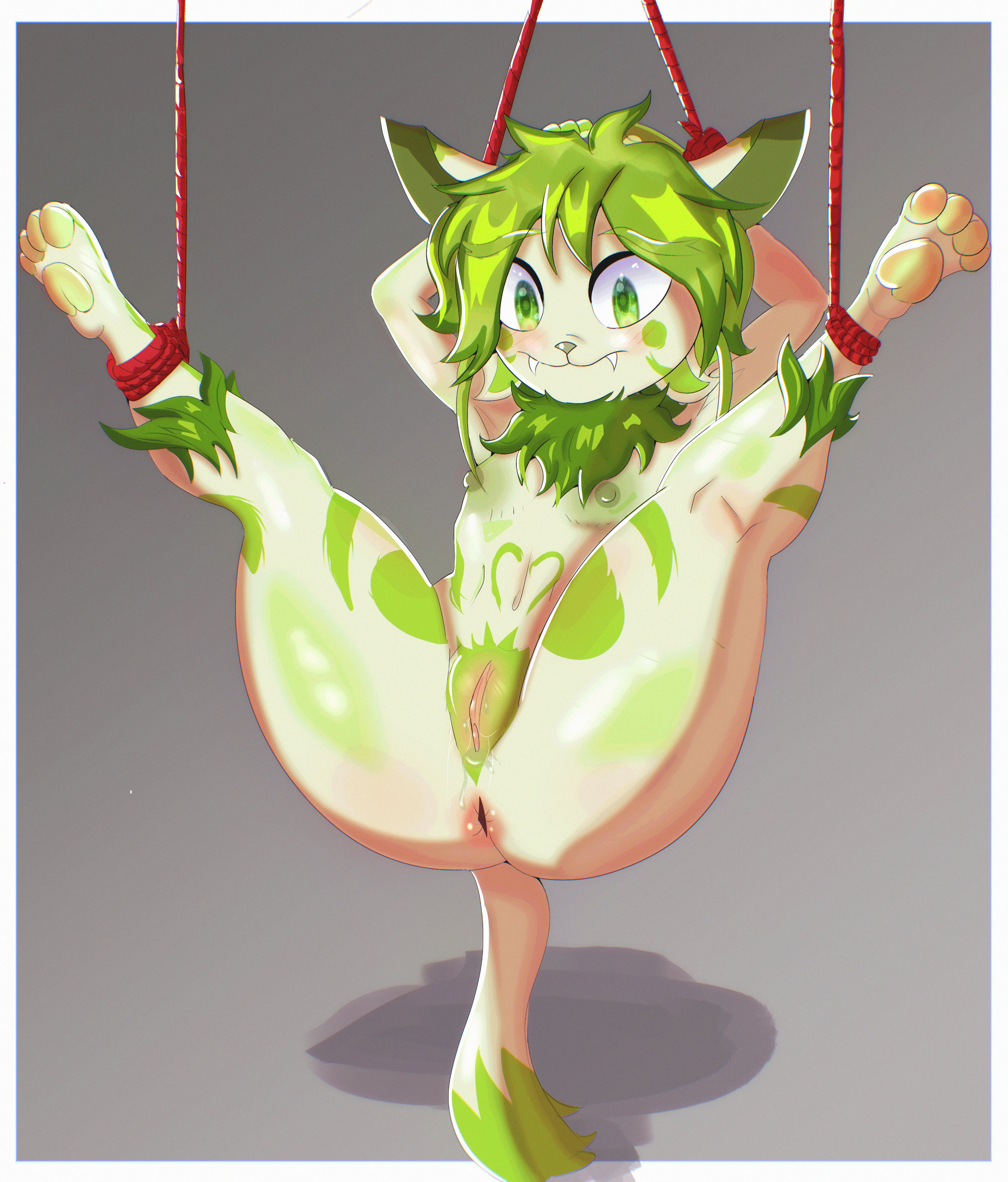 Gata atada >:3 c o m m i s s i o n para