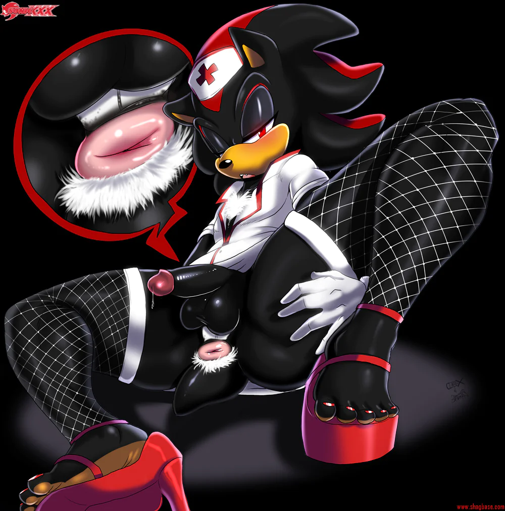 Shadow The Nurse